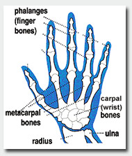 Rehab Hand Pain